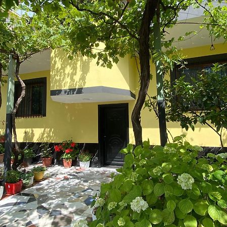 H&A Guest House Golem  Extérieur photo